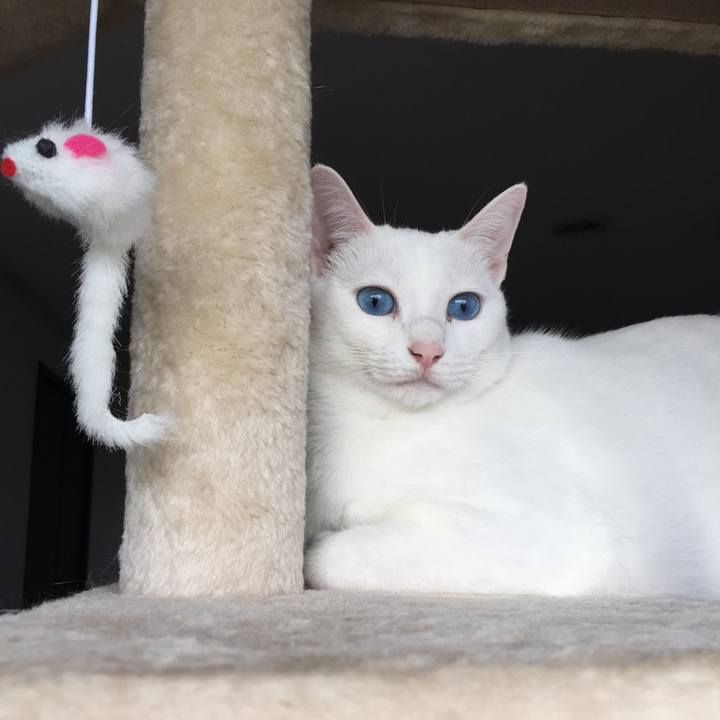 3f100c59 8a15 4993 abb8 8d3d1d814e0e