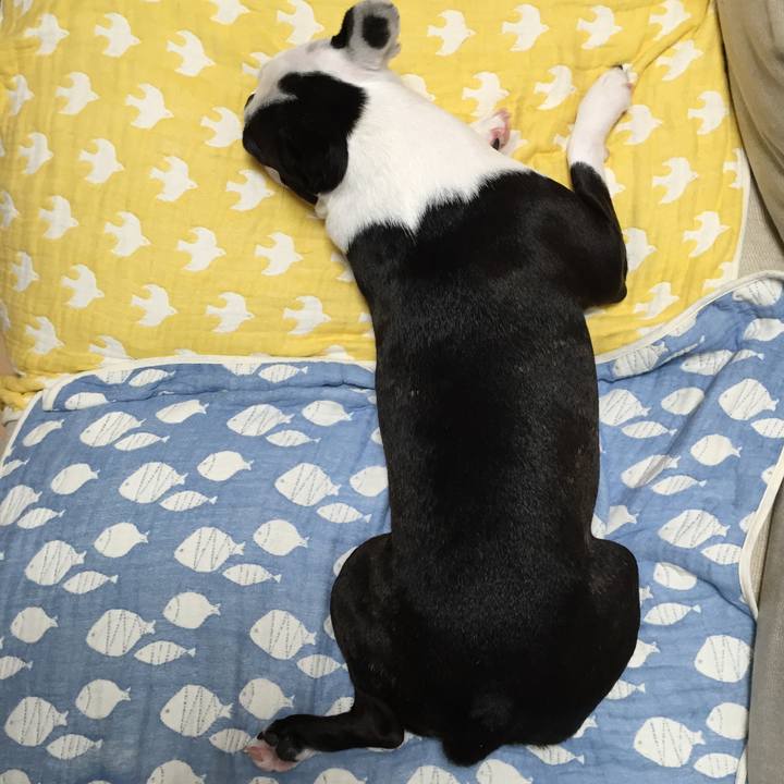 3f101db0 bfb4 4f47 bf2e c6698faaeddb