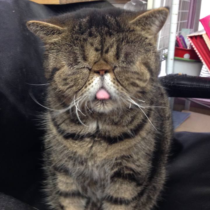 3f102d6a 5a86 403d b76e 1eeb9c76148c