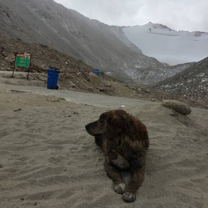 3f105573 da63 457c a5a5 d8f0f9e6a7ee