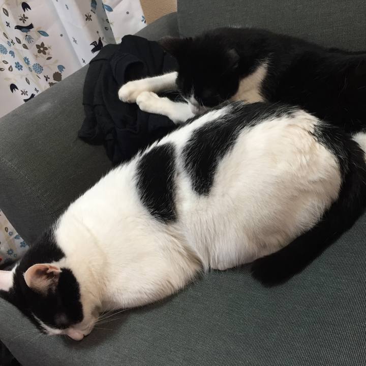 3f10f75a 0d54 48d5 9435 391cc822907d