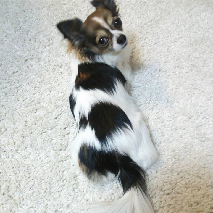 3f10f7a6 45b4 4cd9 9be0 a0243645b7a2