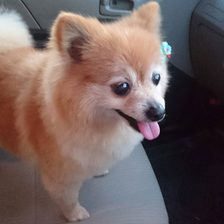 3f12a89c c58e 41d2 b5ac 3f0511564417