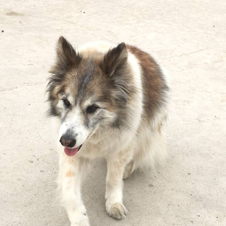 3f12f2a9 ab18 443f 98d6 f0fd126f6c07