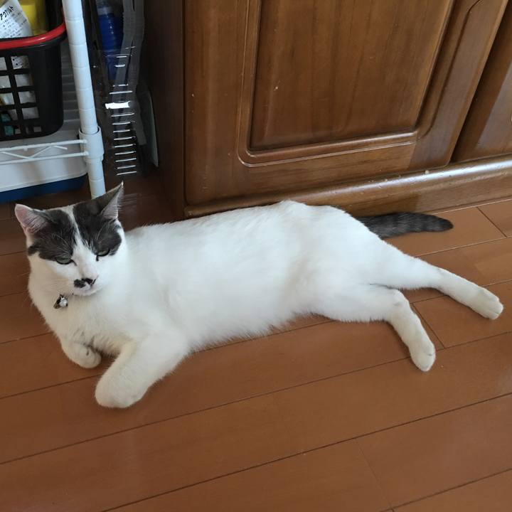 3f134d6c c052 44e0 936e 9747a5c21133