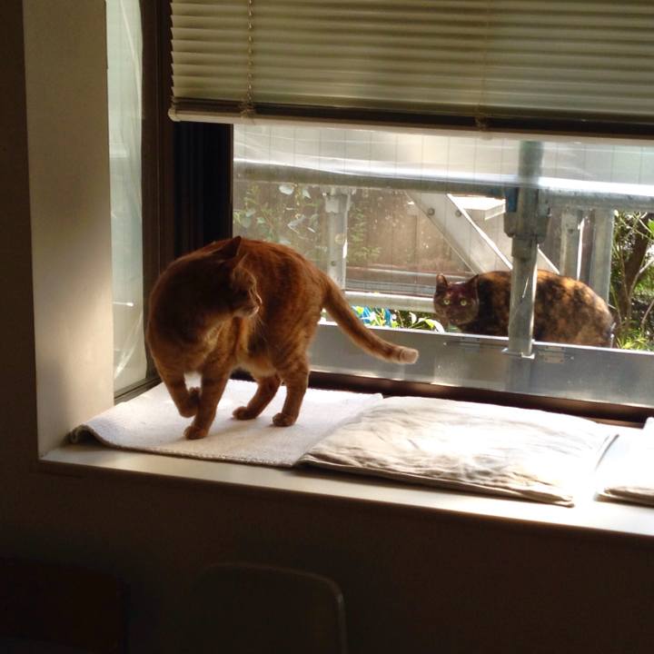 3f134fb2 7ee1 448f b2bd 6e9e9967d93b