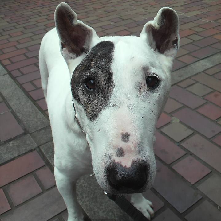 3f135f13 be3b 4b07 add4 afcf8b60358e