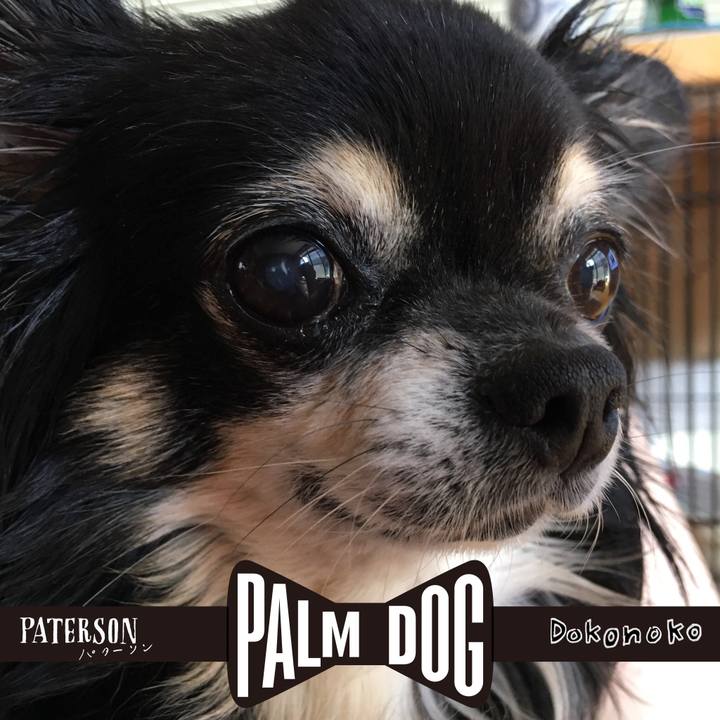 3f137489 8bf6 4d4a bf64 541cc0d25a8e