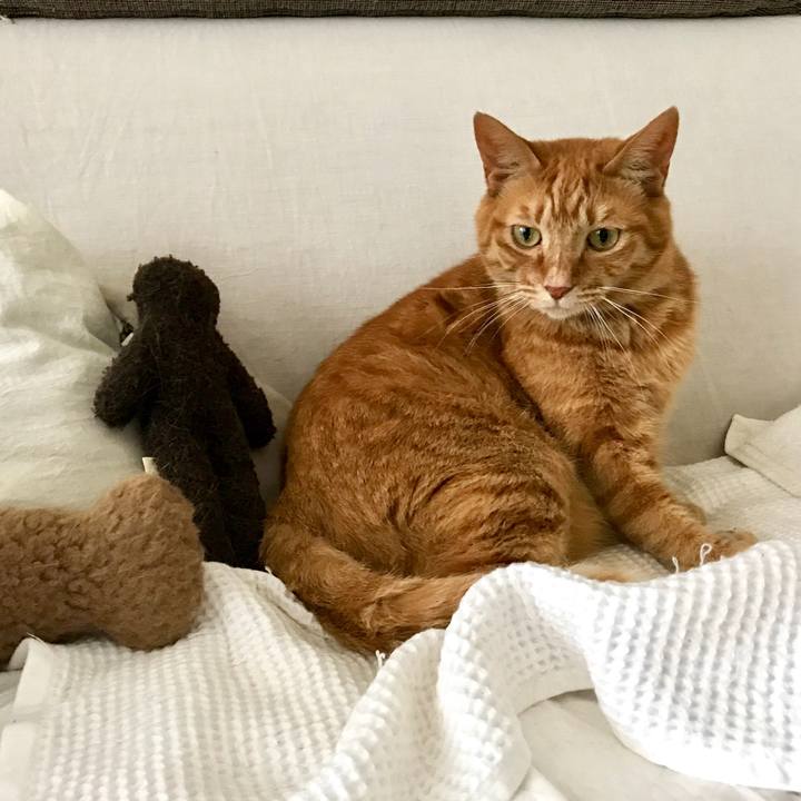 3f13fb03 04c7 4e8f bcbc 24d80781c415