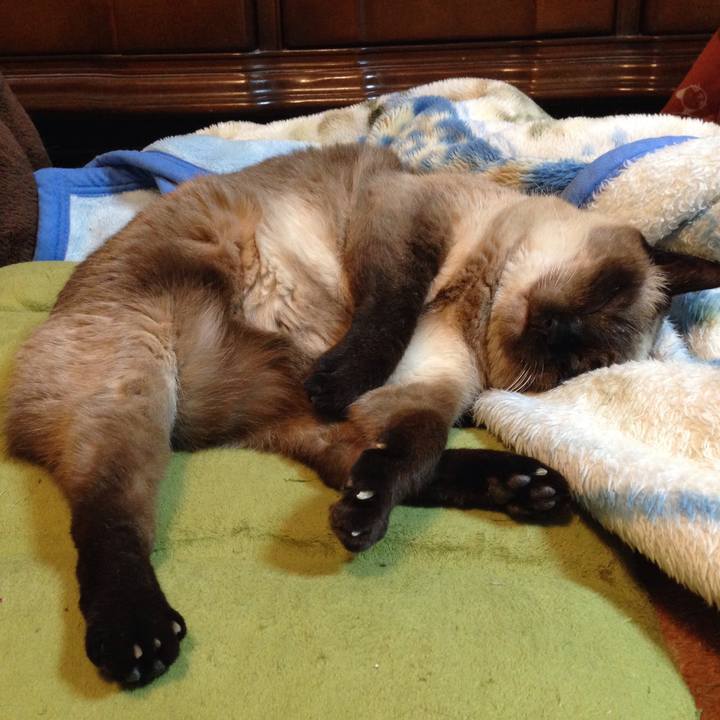 3f141333 993f 43e0 b622 c1c301693770