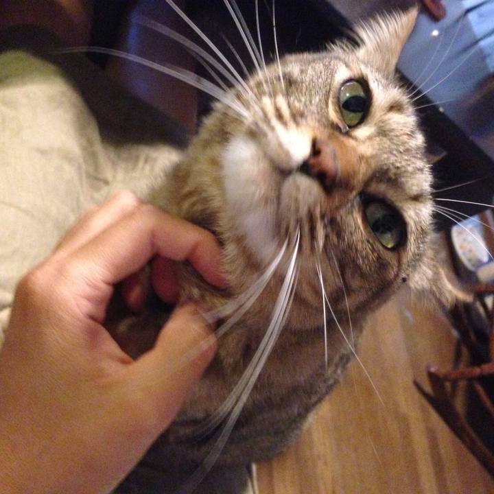 3f1417e7 6b27 44f4 aaa5 8f049e7824a2