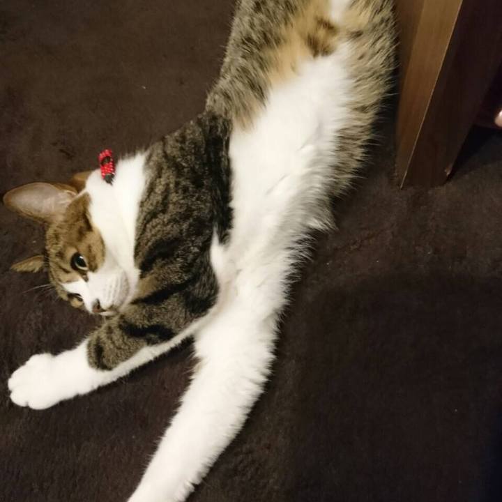 3f14829c 4748 40c8 9c48 e2b1bda40c4d