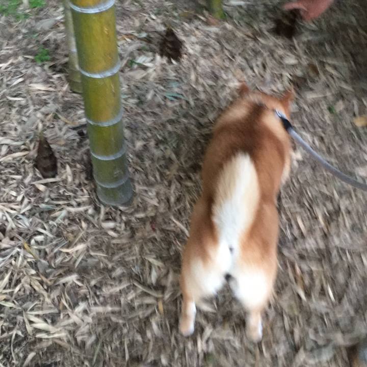 3f14da62 9556 44af afe7 99fb331fbdb6