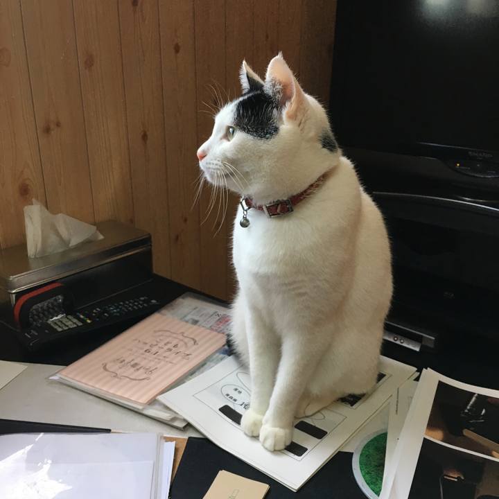 3f15359b a458 49a4 8bbb fc88e425546e