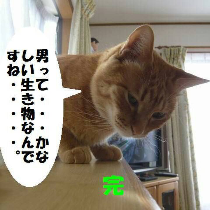 3f155b71 dfa4 4eb9 a7a1 9e37cd5eb51a