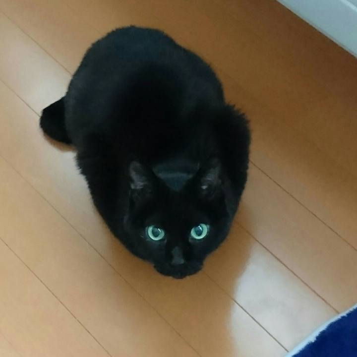 3f15af24 24d4 4881 bfd2 f3fff5a7c2e8