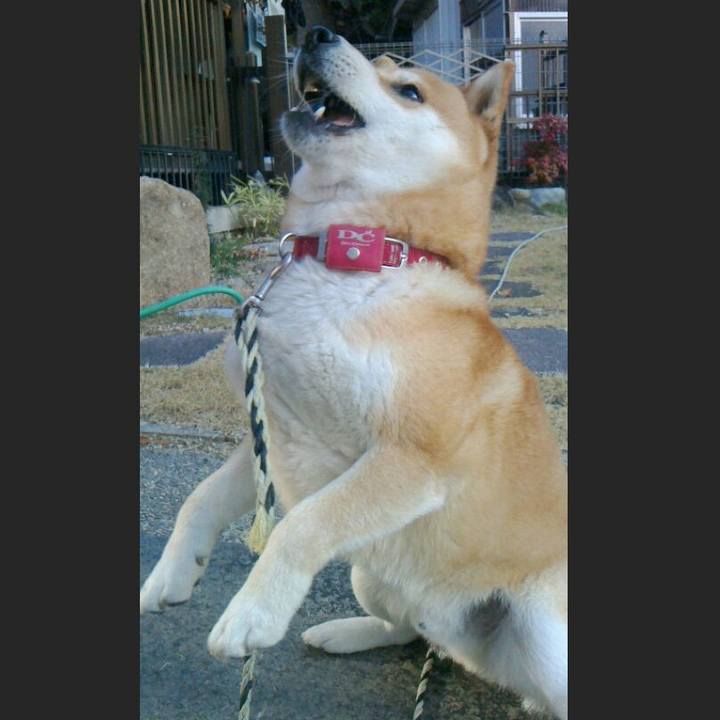 3f15d8dc 47c8 42a5 a768 30563f6a0f77