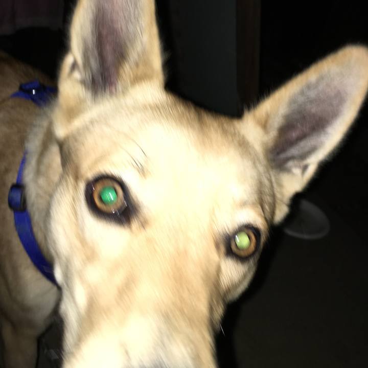 3f165755 0280 47e6 8b1f 73a98494b733