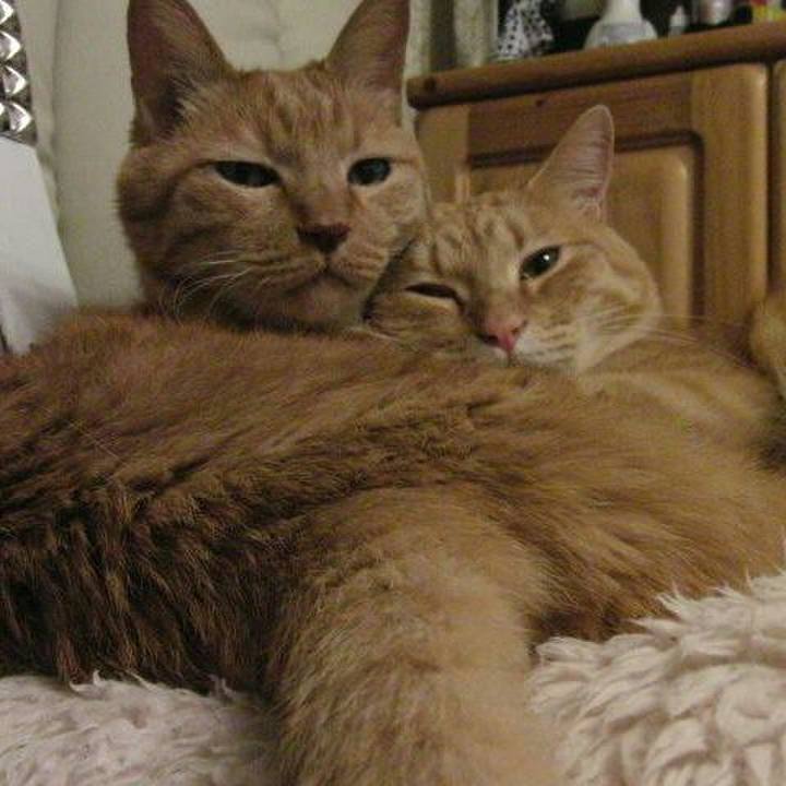 3f180319 1231 423c 8cb0 c280b46cecc4