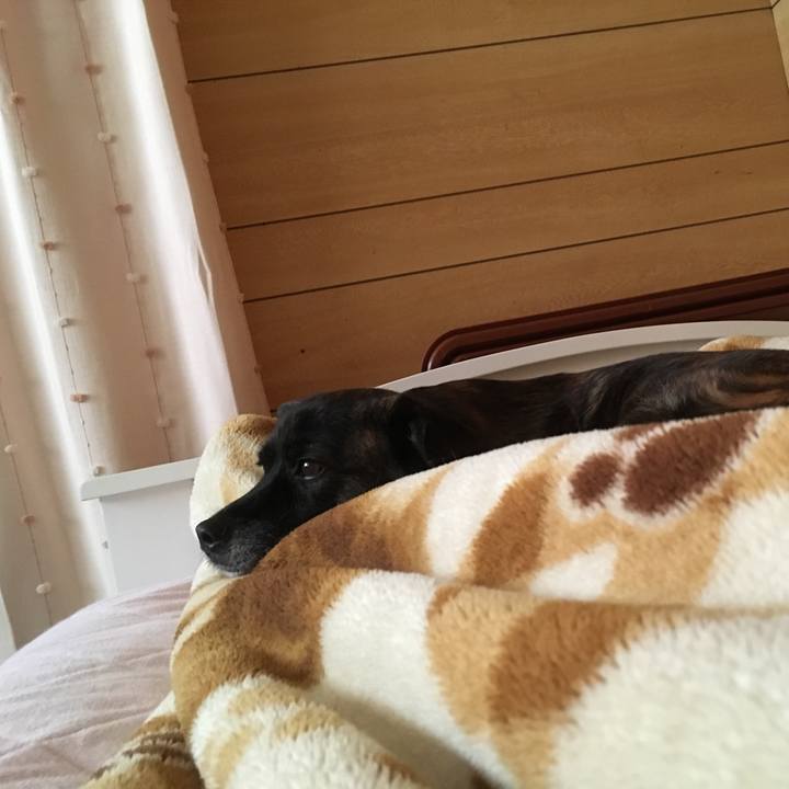 3f1804d0 7d47 470d 8972 7c527a6f5bfe