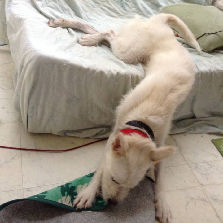 3f18b3f8 35ab 4492 8886 070f6e12db75