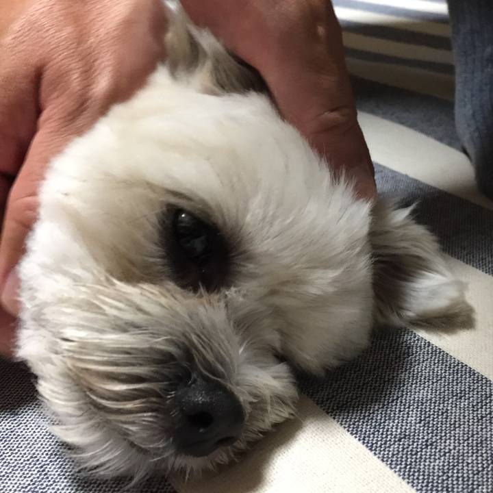 3f192d33 3d80 438c bfba 199b96854f79