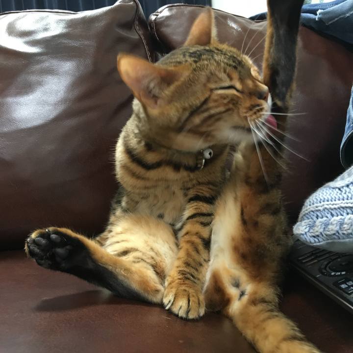 3f197558 f299 4e33 9be6 e407fd12dd36