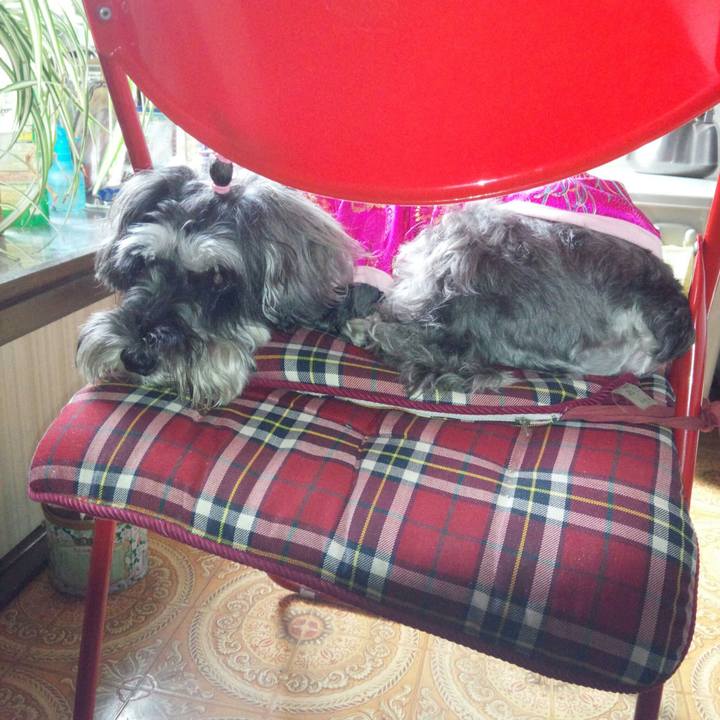 3f19dab1 326b 49e0 a810 e1cf0d51bd9e