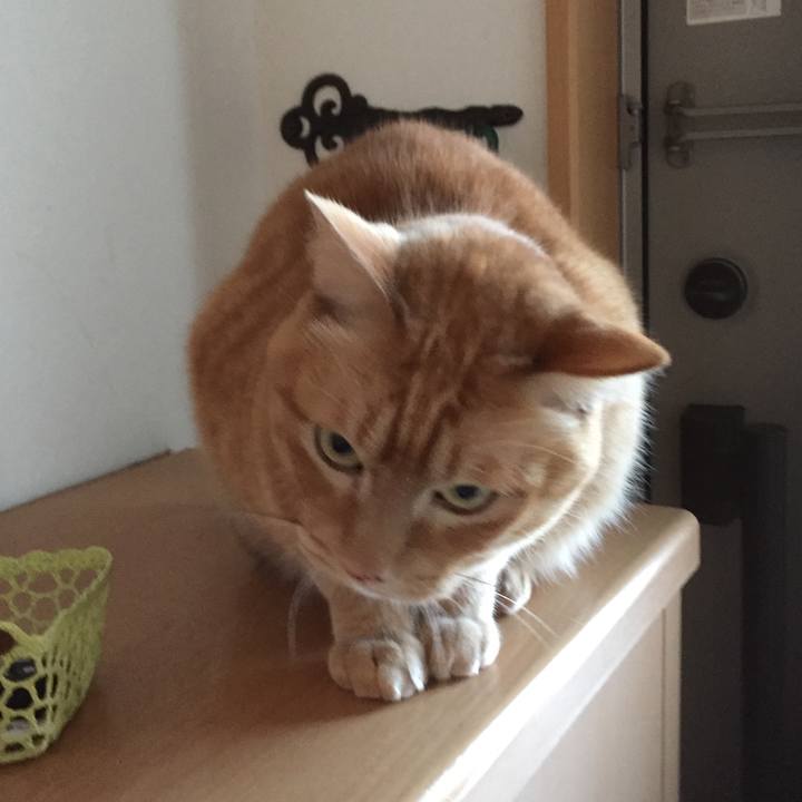 3f19f4e3 0d0f 4dc0 b1c9 c8355bc9870d