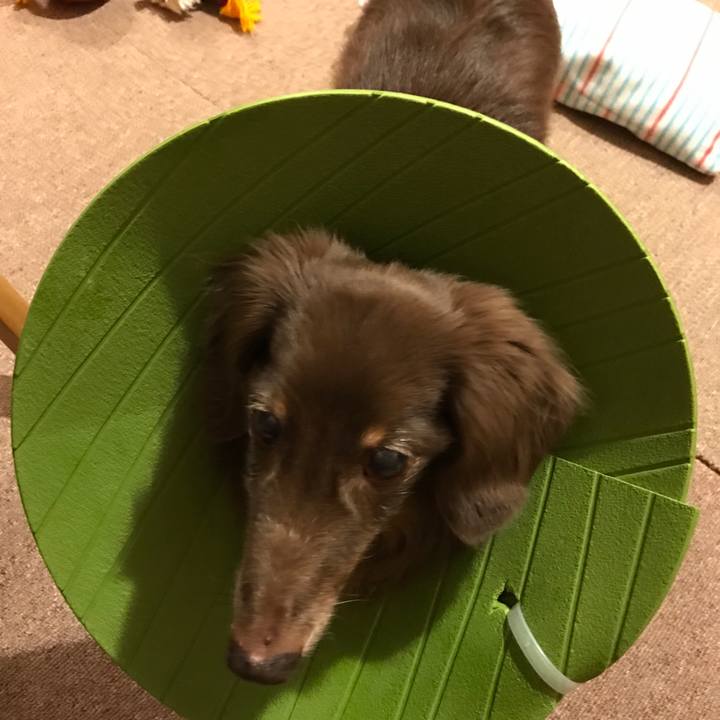 3f1a383f 5b56 426e 9b36 d9da1f78d188