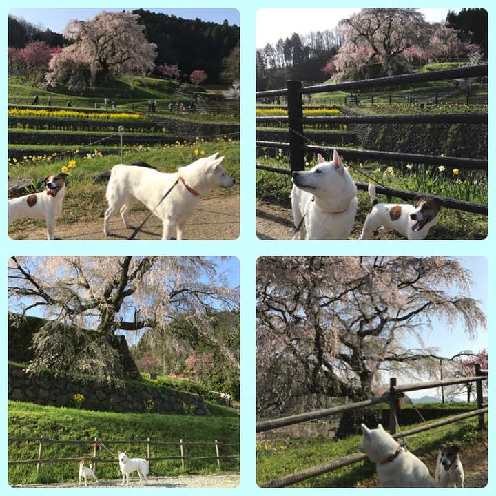 3f1b09e9 d2c6 4981 b1de fad32915ae00