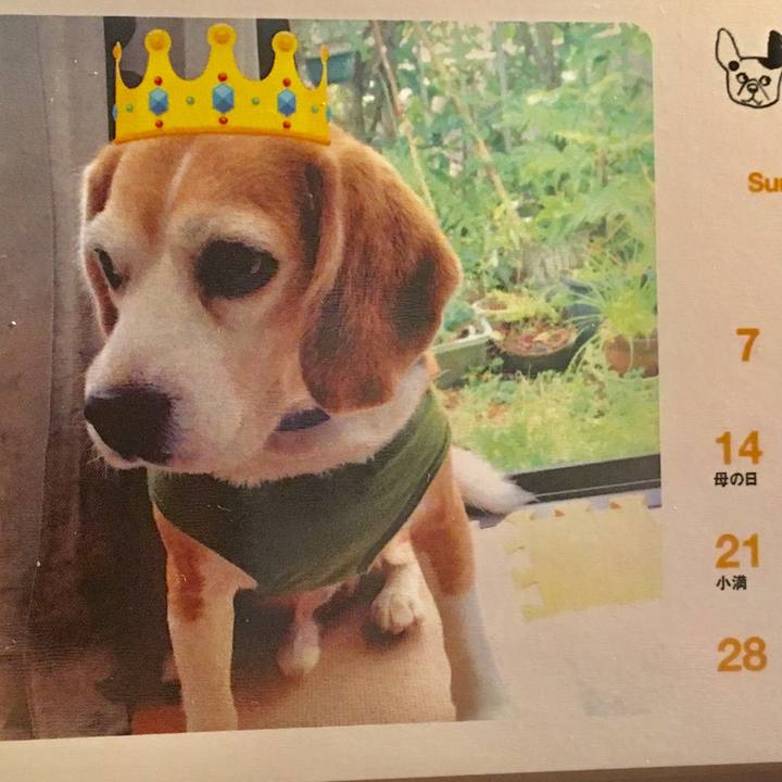 3f1b84cb 2633 40c2 a584 970065018c4e