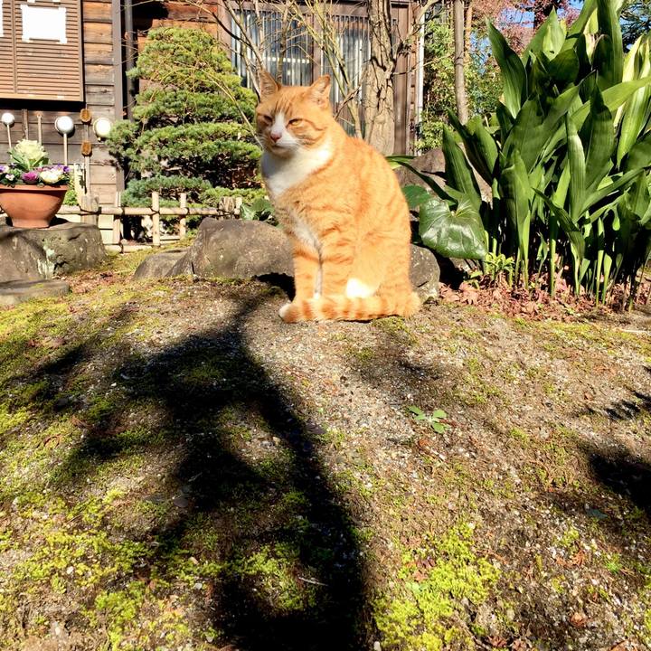 3f1c3841 d806 4def 905c 0b0c86dd8fae