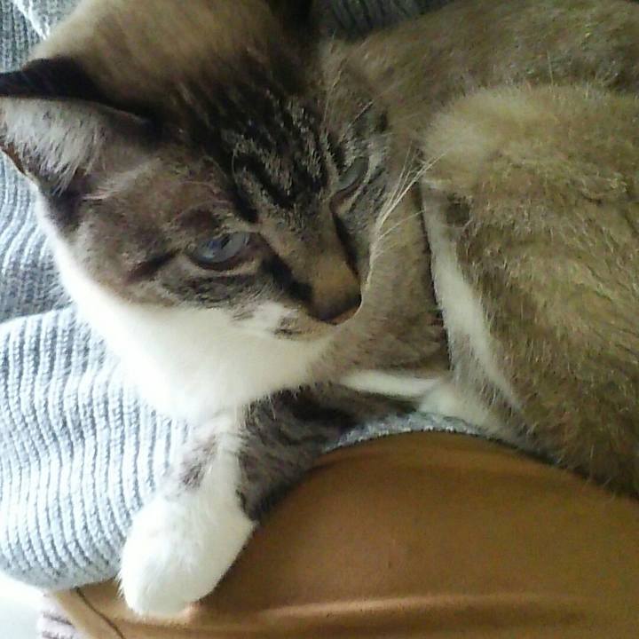 3f1c7e59 3510 41a0 8809 f8ae795811e0