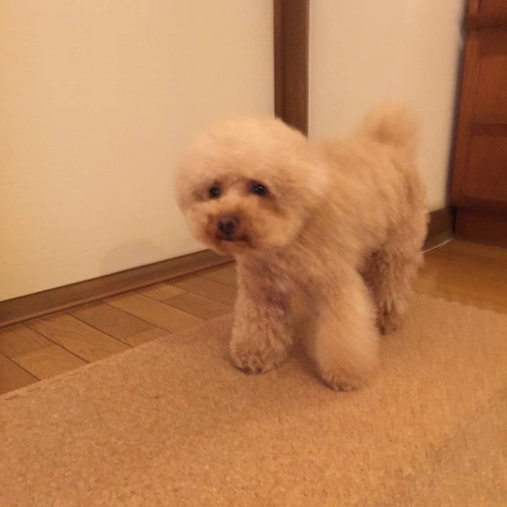 3f1cfd48 a6f8 4566 9e12 a83924a6b35a