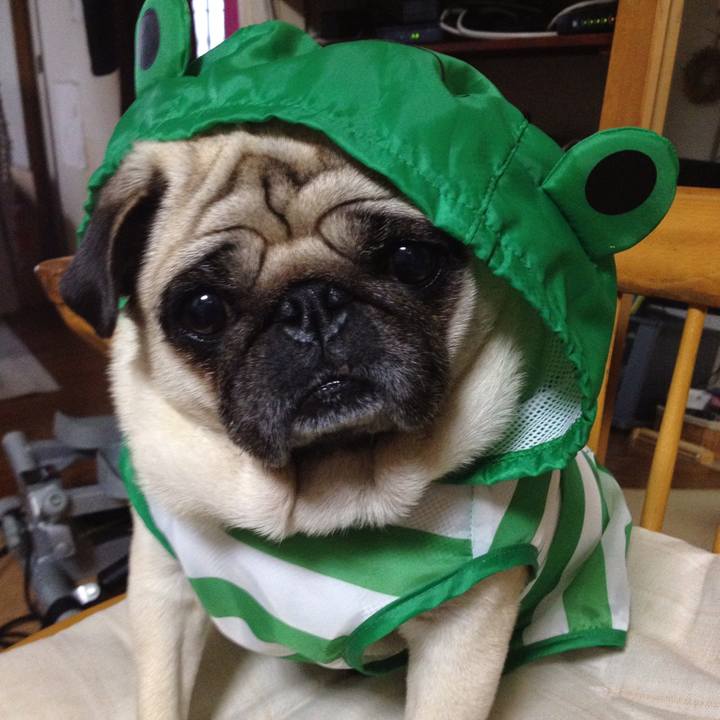 3f1d32f5 b0ba 4e4a 9e05 4d1b25566c82