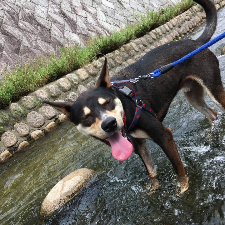 3f1d65bd b9a8 440f a4cb 77c4075243b1