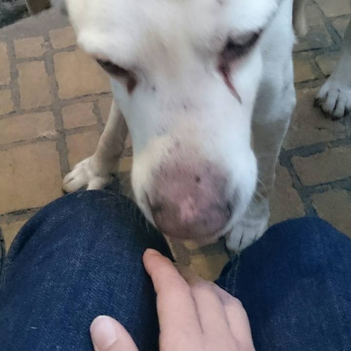 3f1dd655 eae7 4d2a 8538 a70a856d0cad