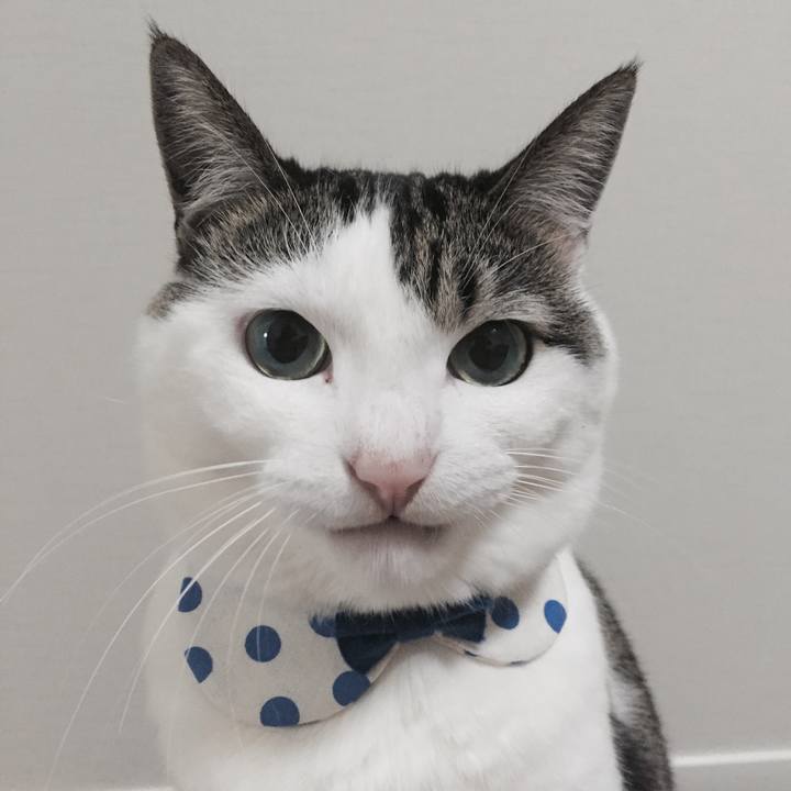 3f1e7fa0 5a4e 4cbf b911 e30e1a9528db