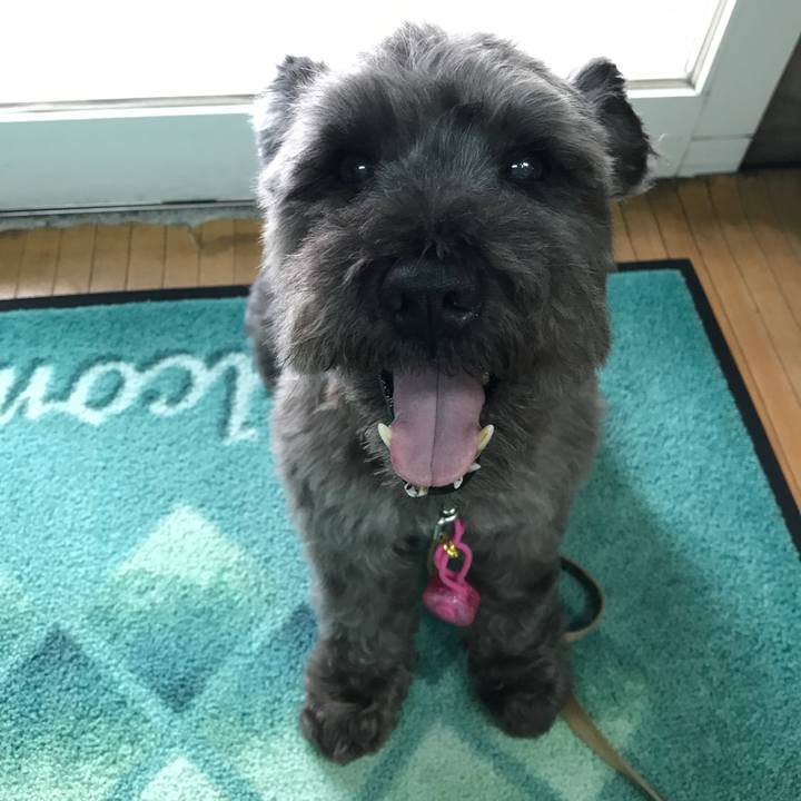 3f1e9c5f 5290 43de a244 6b933d1d2c73