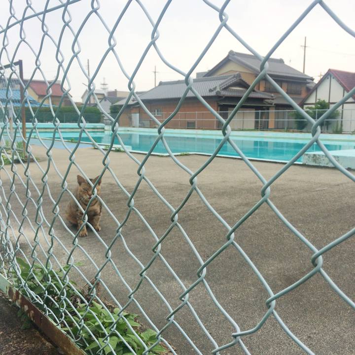 3f1ebbf1 6bff 406c 9583 e2a1381dd2ec