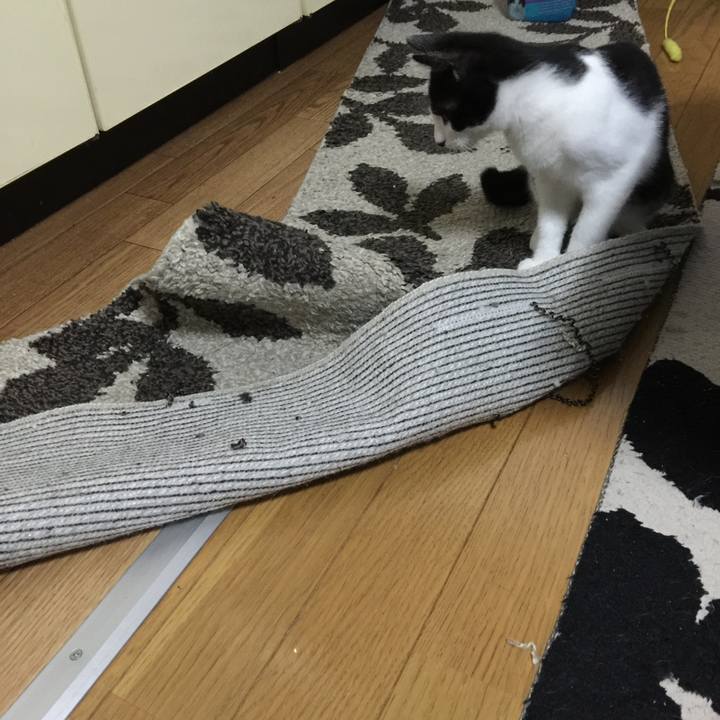 3f1f067b 1f99 4dd0 b200 2b007481083c