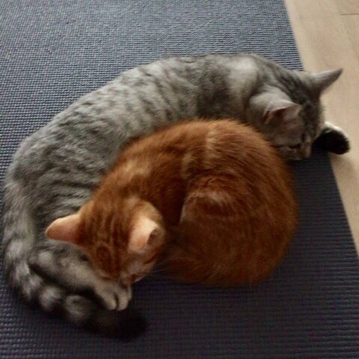 3f1fe0ff daef 4332 aca1 ea189f4be0dc