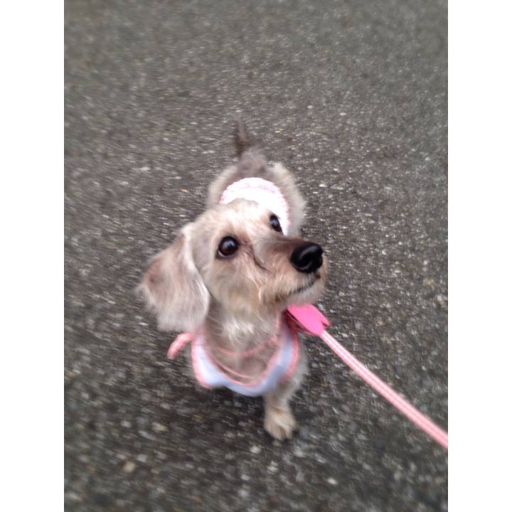 3f1fee90 0566 4227 8115 b48ced43ad43