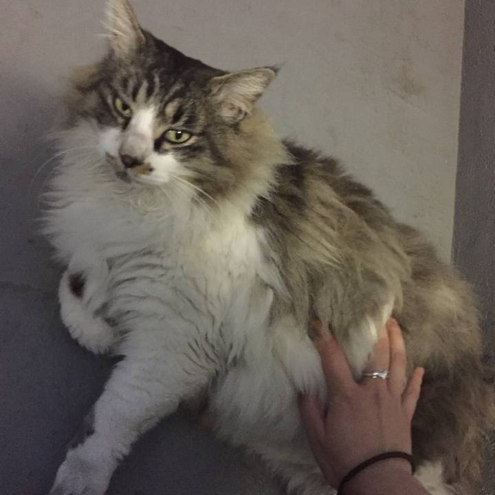 3f20559e 1d7d 4d95 a2dd 25b04eb4531c