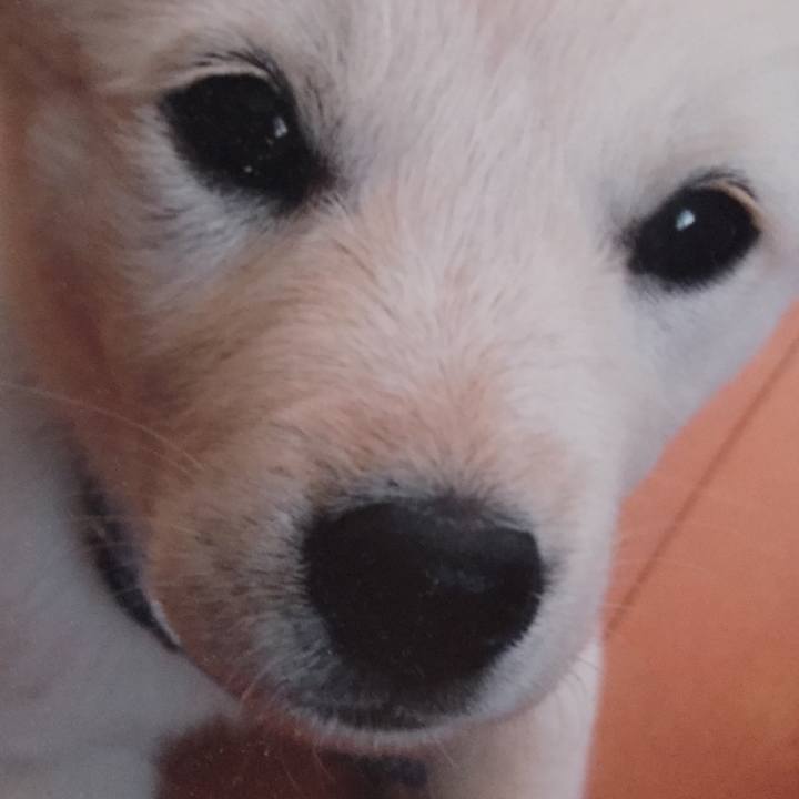 3f20ae3f 4366 4a77 a5fd 4cdb3673078d