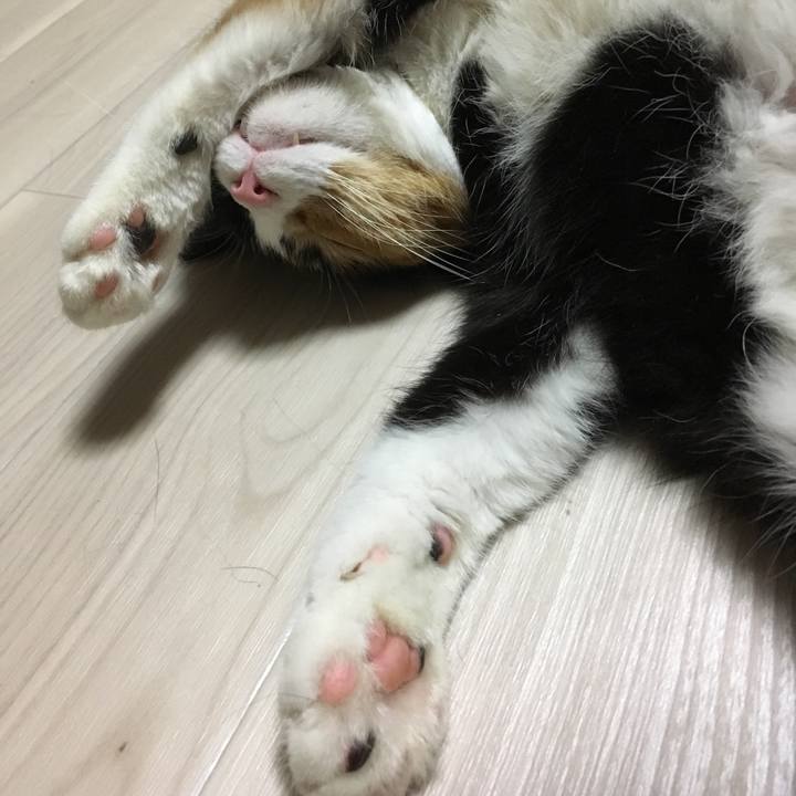 3f20b0a0 b102 4e87 a792 095e41a94c6c