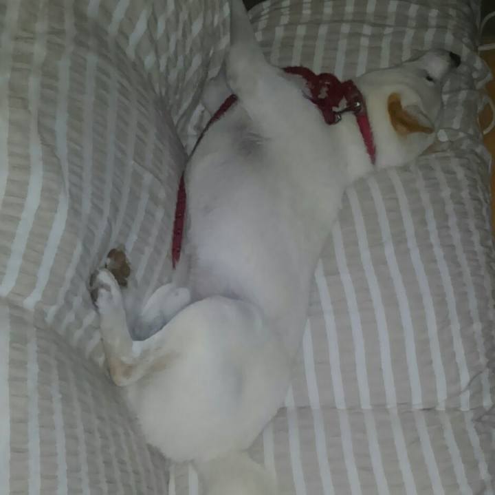 3f213679 2c0c 47f1 8b9b 829c74d54a52