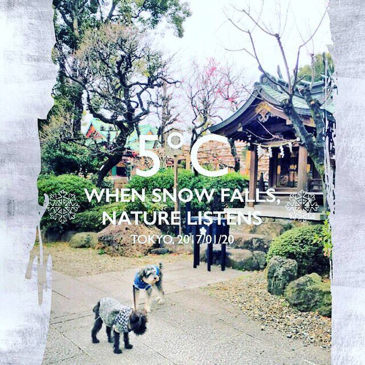 3f2142e9 701b 40e1 b99a 09db4ba773f2