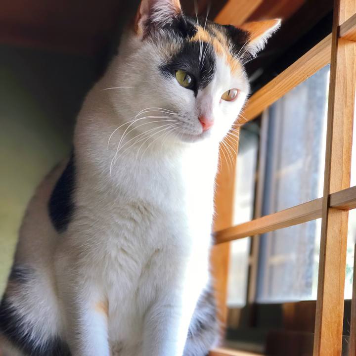 3f21627c cde8 46a0 a90b ac9dbc9f1107